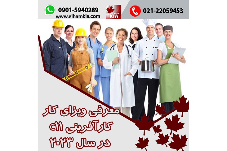 ✔️معرفی ویزای کار کارآفرینی C11 در سال 2023